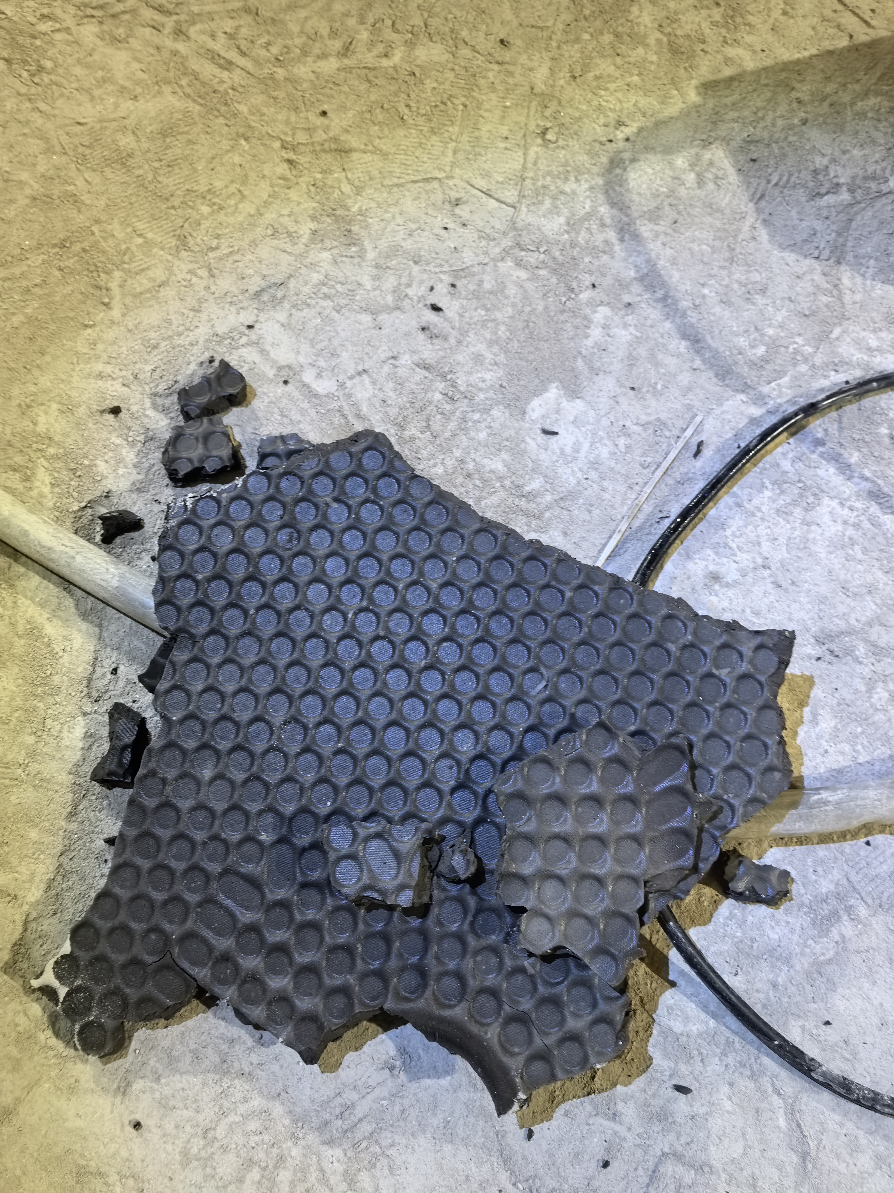 产出的干化泥饼